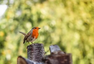 découvrez les astuces et conseils pour un flight debout parfait, alliant équilibre, confort et performance.